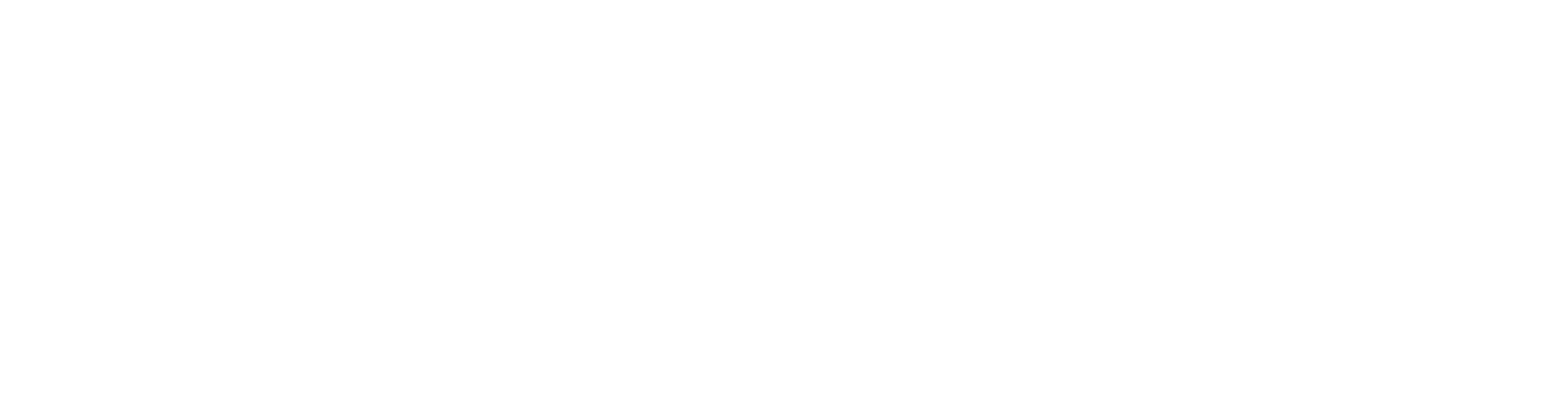 Rayzon Solar logo